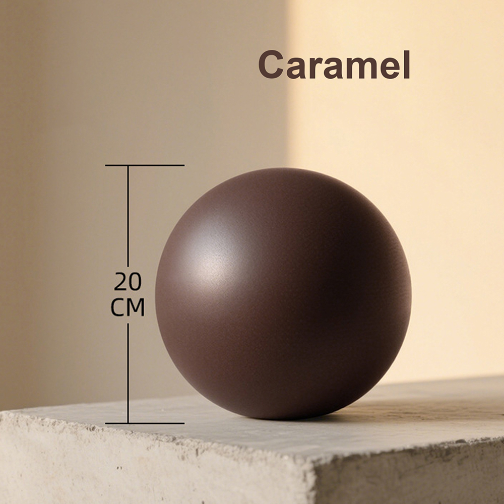 20cm Matte Exercise Ball Barre - Pilates Yoga Ball Exercises recensie en prijs