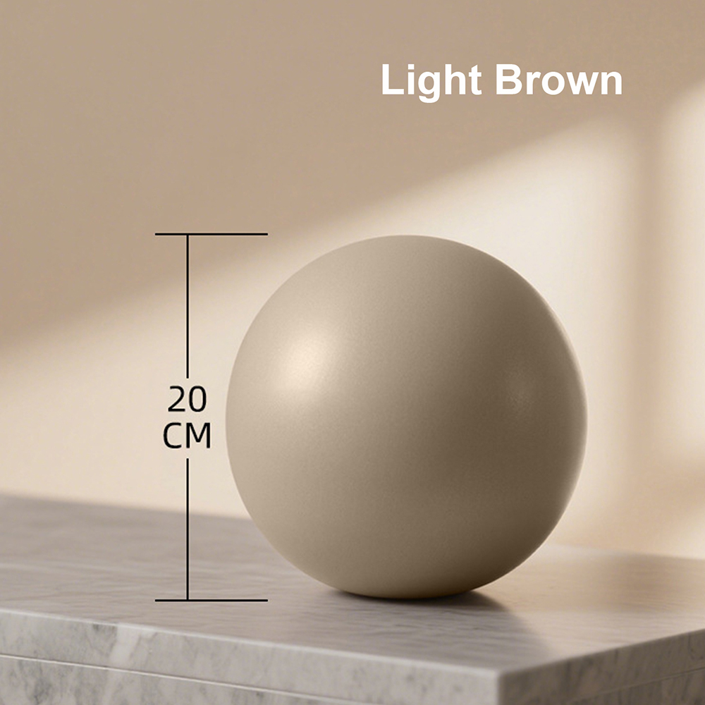 20cm Matte Exercise Ball Barre - Pilates Yoga Ball Exercises recensie en prijs